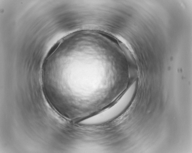 X0000088841342200706281812