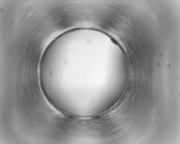 X0000088841343200706281812