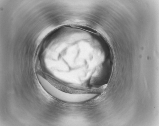 X0000088841344200706281812