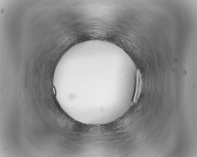 X0000088841345200706281811