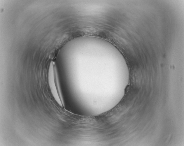 X0000088841346200706281811