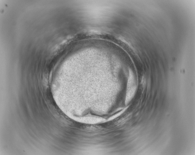 X0000088841348200706281811