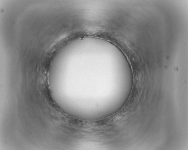 X0000088841349200706281811