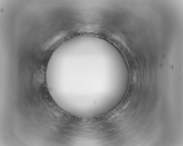 X0000088841350200706281811