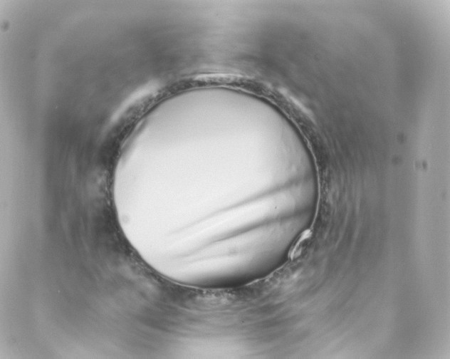 X0000088841351200706281811