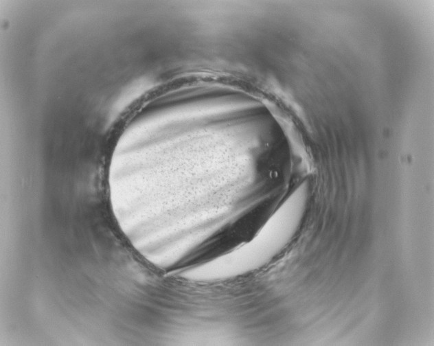 X0000088841352200706281811