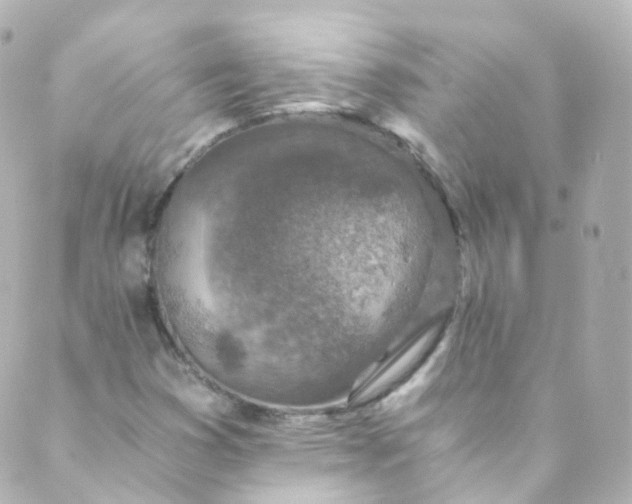 X0000088841353200706281811