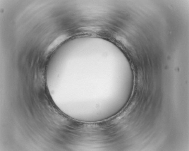 X0000088841354200706281811