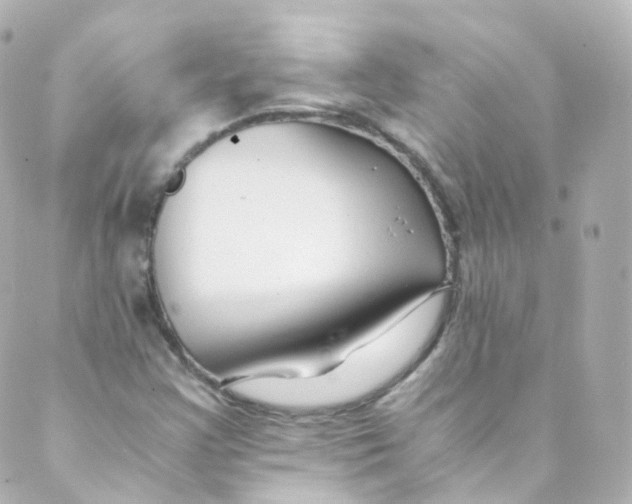 X0000088841355200706281811