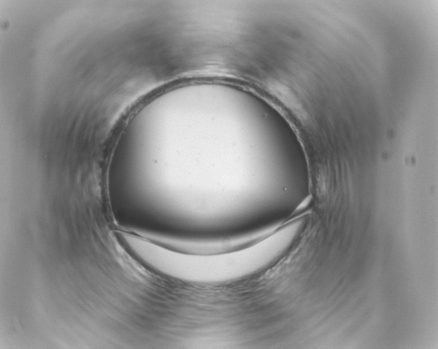 X0000088841356200706281811