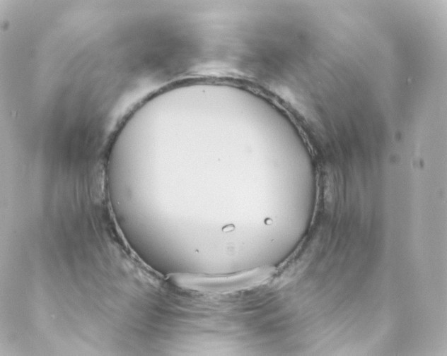 X0000088841358200706281811