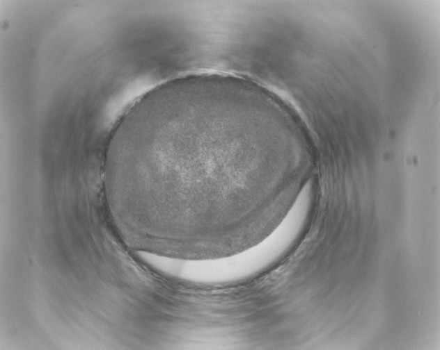 X0000088841359200706281811