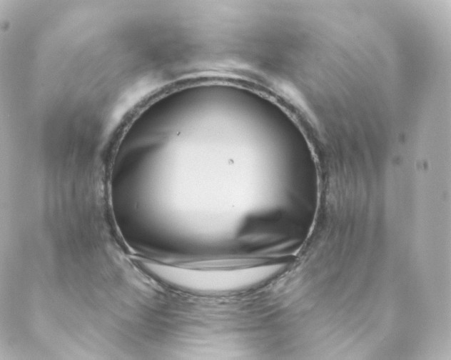 X0000088841360200706281811