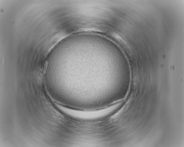 X0000088841361200706281811