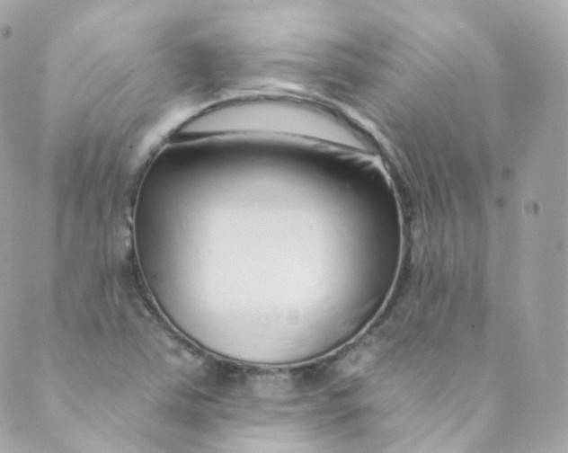 X0000088841363200706281811