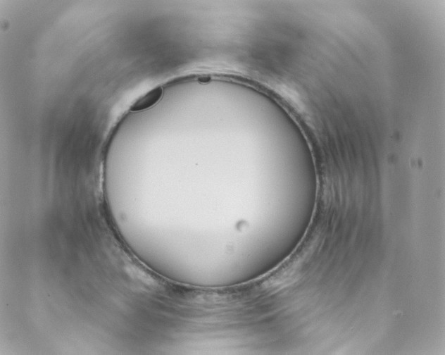 X0000088841366200706281811