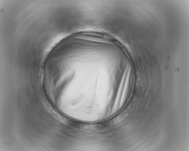 X0000088841367200706281811