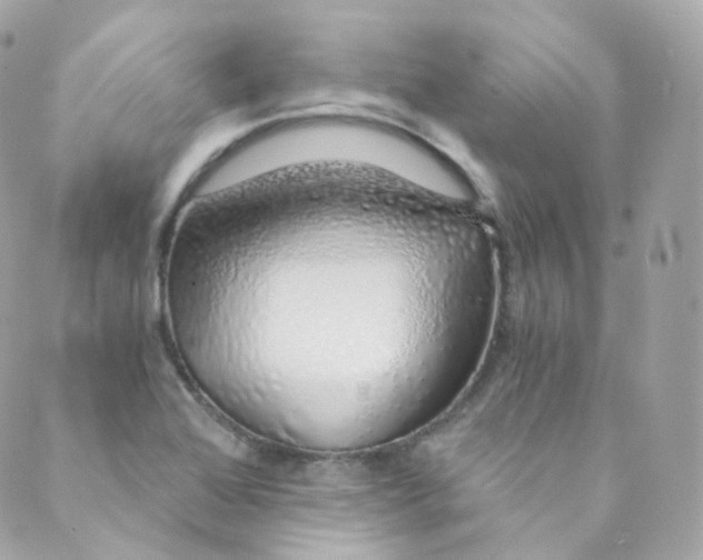 X0000088841368200706281811