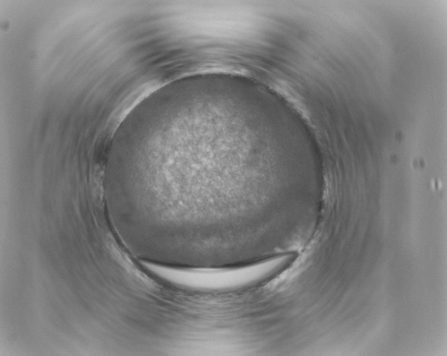 X0000088841369200706281811