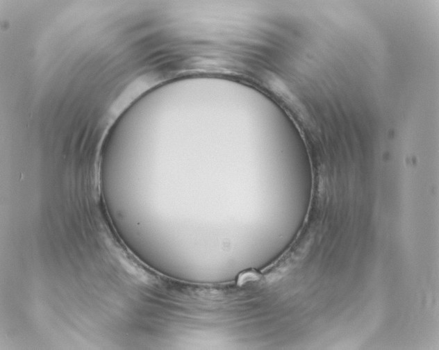 X0000088841370200706281811