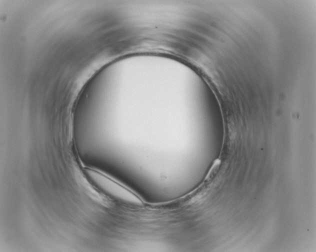 X0000088841371200706281811