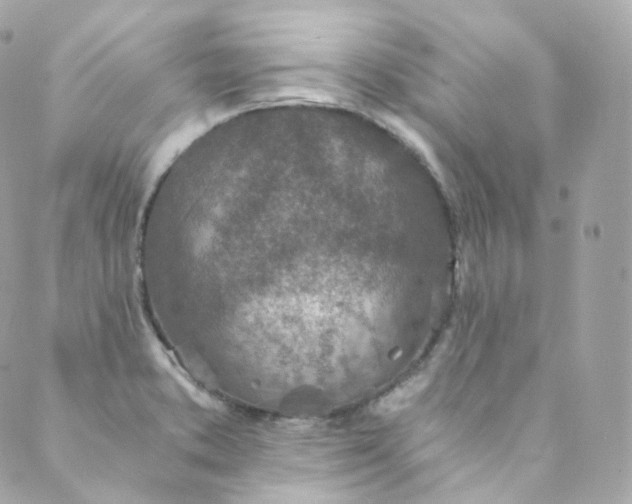 X0000088841373200706281811