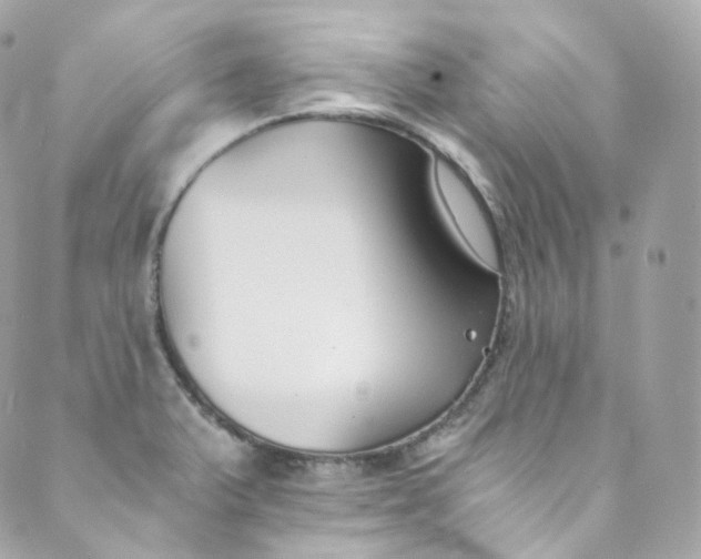 X0000088841375200706281811