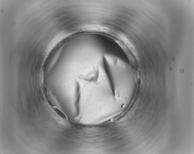 X0000088841376200706281811