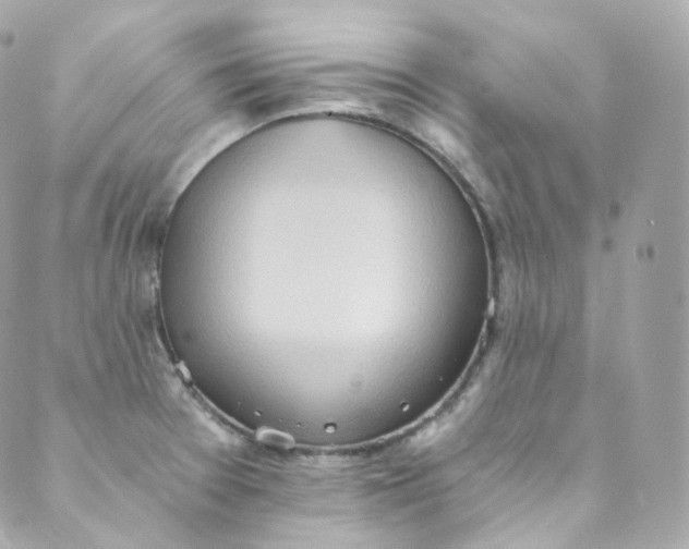 X0000088841377200706281811