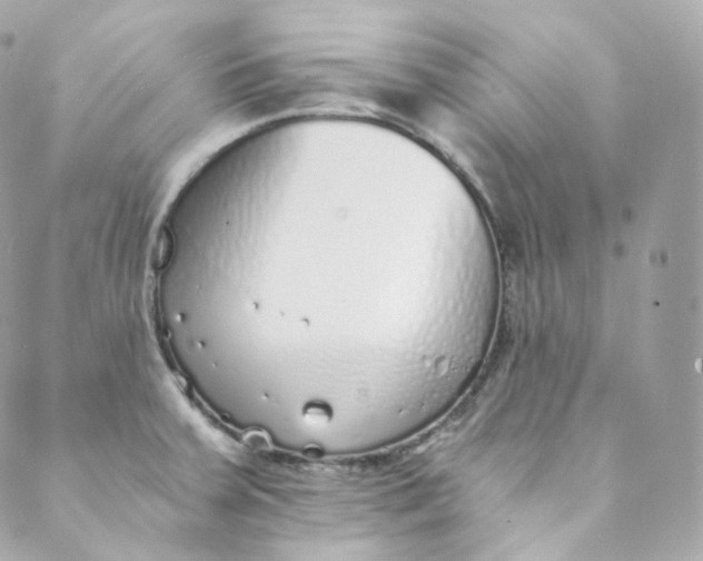 X0000088841379200706281811