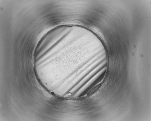 X0000088841380200706281810