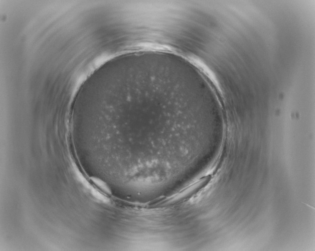 X0000088841381200706281810