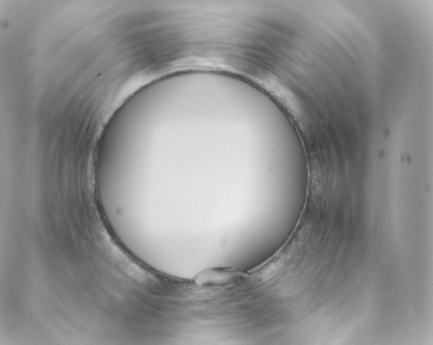 X0000088841382200706281810