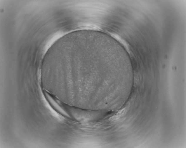 X0000088841383200706281810