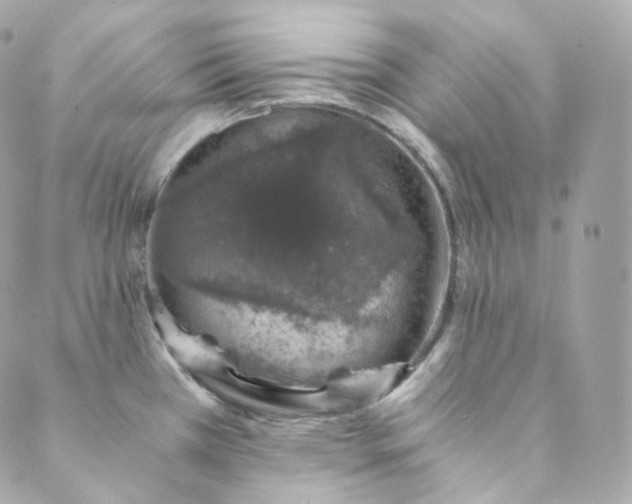 X0000088841385200706281810