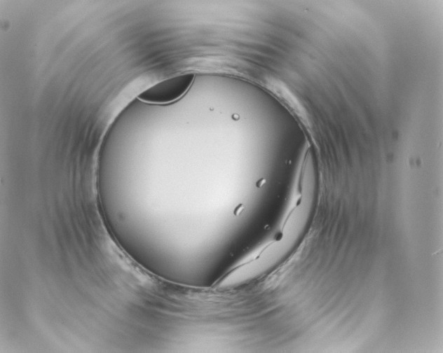 X0000088841386200706281810