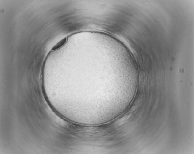 X0000088841387200706281810