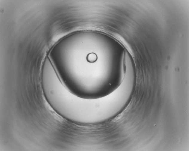 X0000088841388200706281810