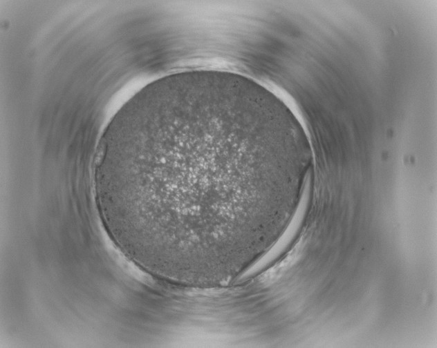 X0000088841389200706281810