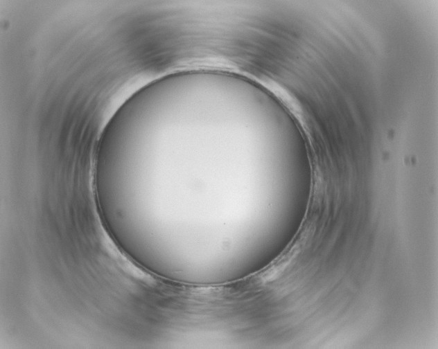 X0000088841390200706281810