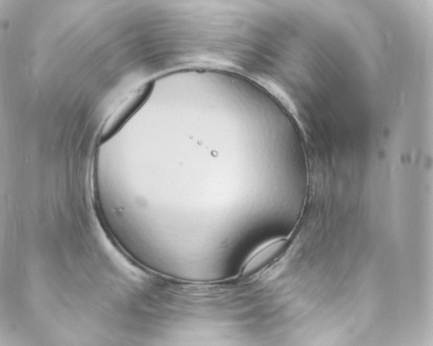 X0000088841391200706281810