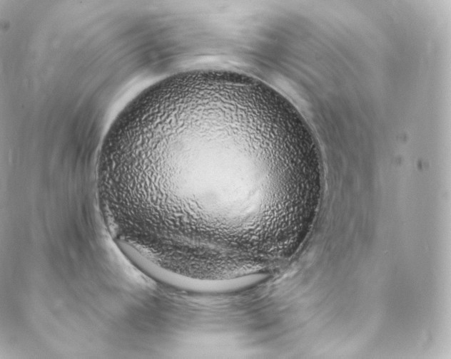 X0000088841392200706281810