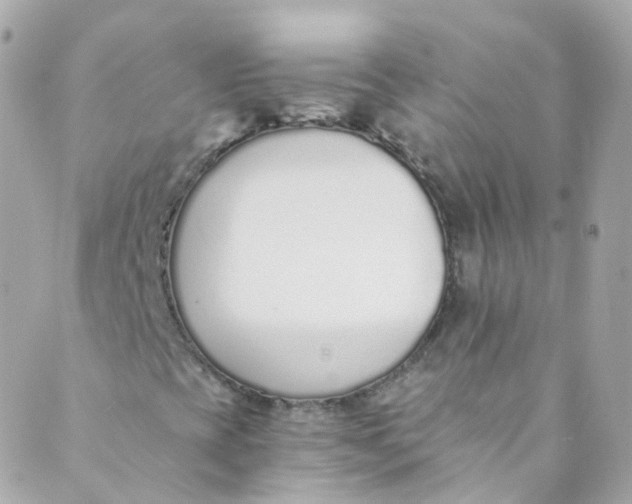 X0000088841393200706281810