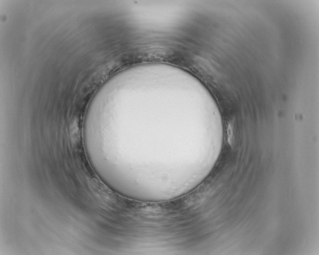 X0000088841395200706281810