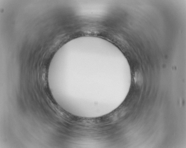 X0000088841396200706281810