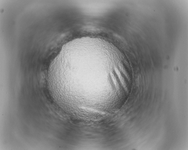 X0000088841397200706281810