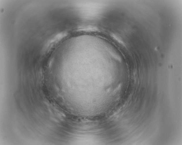 X0000088841398200706281810