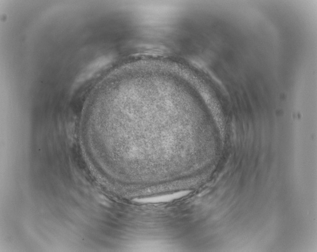 X0000088841399200706281810