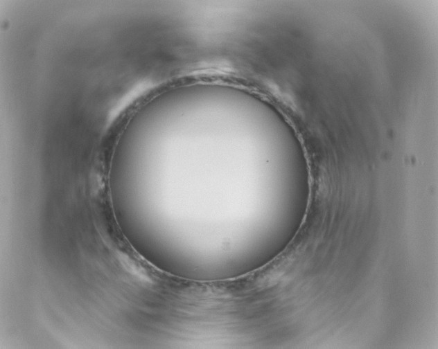 X0000088841400200706281810