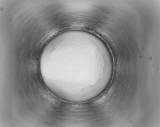 X0000088841401200706281810